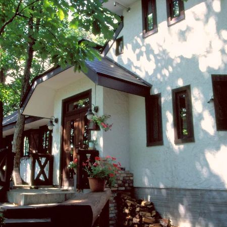 Hotel Earl Grey à Hakuba Extérieur photo