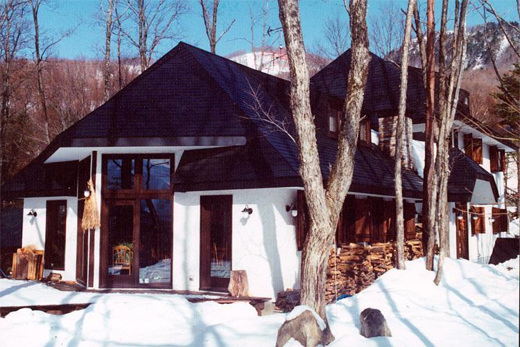 Hotel Earl Grey à Hakuba Extérieur photo