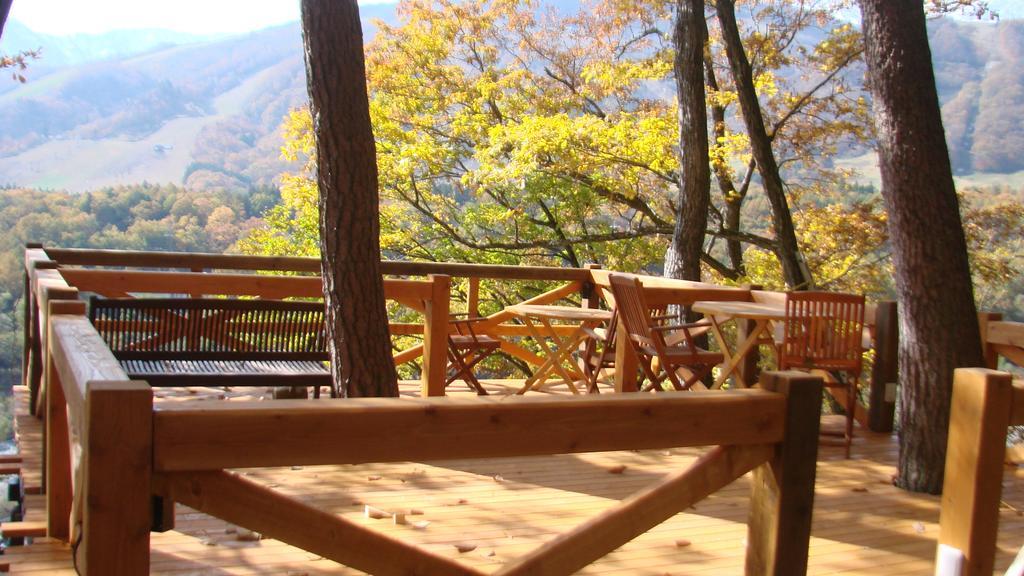 Hotel Earl Grey à Hakuba Extérieur photo